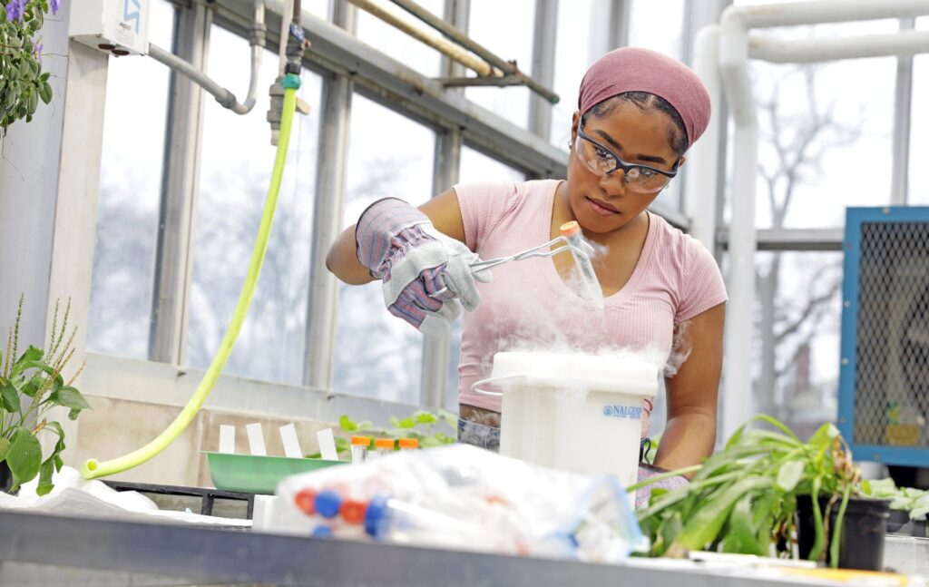 Rachel Penczykowski, Assistant Professor of Biology, works in the Jeanette Goldfarb Plant Growth Facility.